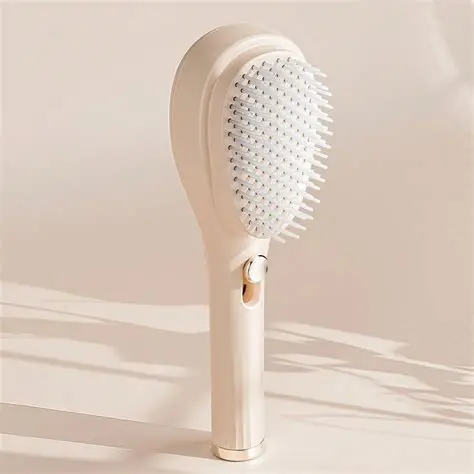 Brosse auto netoyante
